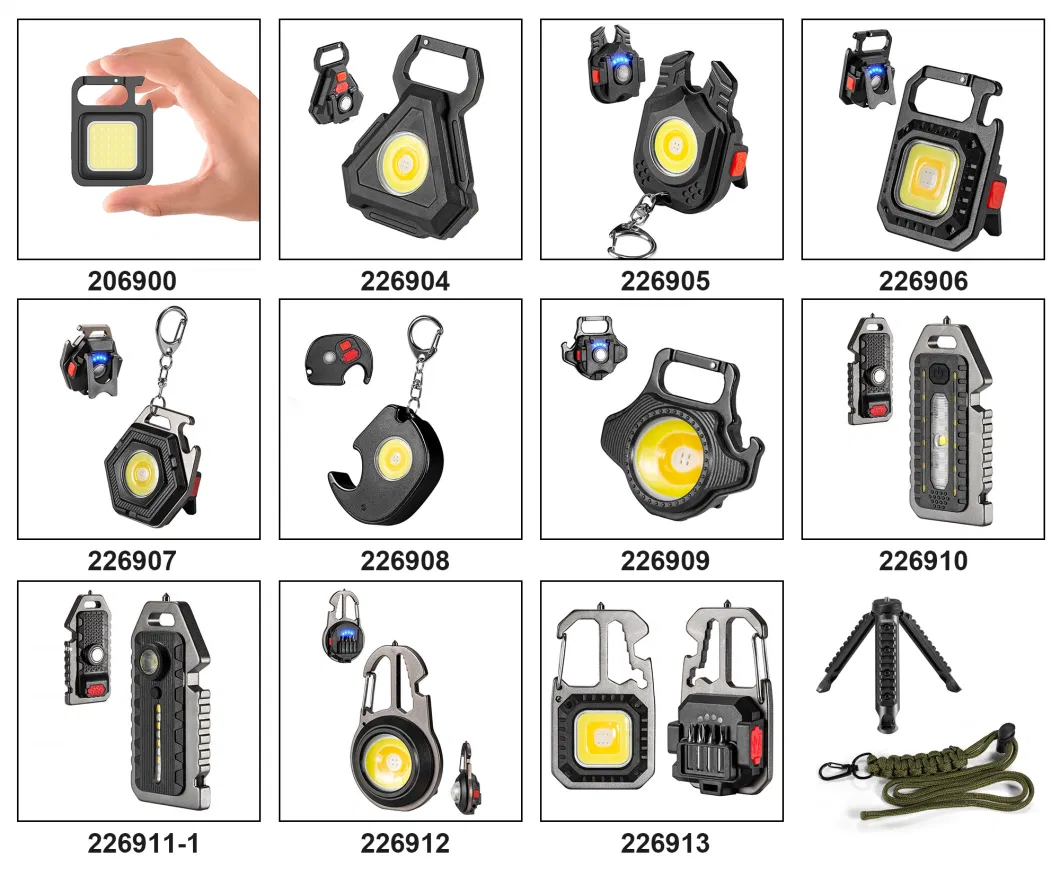 Mini LED Work Outdoor Emergency Light Key Chain Light LED Torch LED